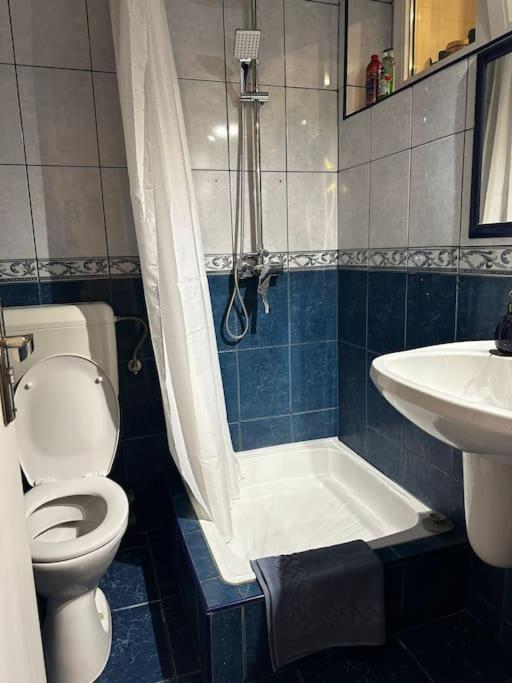 Studio Cozy Piata Victoriei Apartment บูคาเรสต์ ภายนอก รูปภาพ